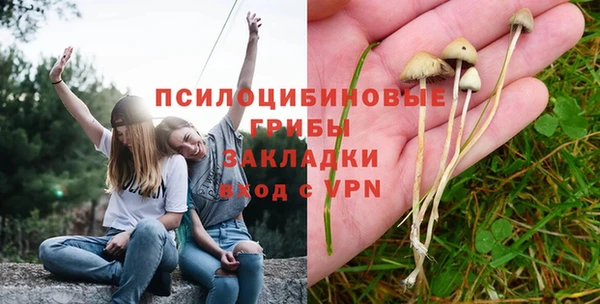 spice Армянск