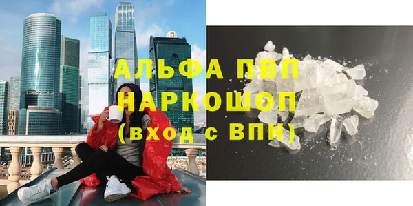 крисы Алексин