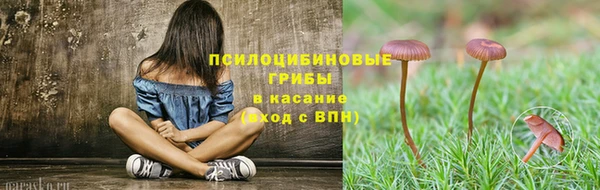 крисы Алексин
