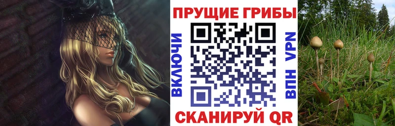 Псилоцибиновые грибы прущие грибы  Купить  Волгореченск 