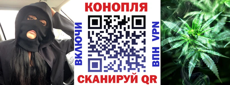 Бошки Шишки планчик Купить закладки Волгореченск